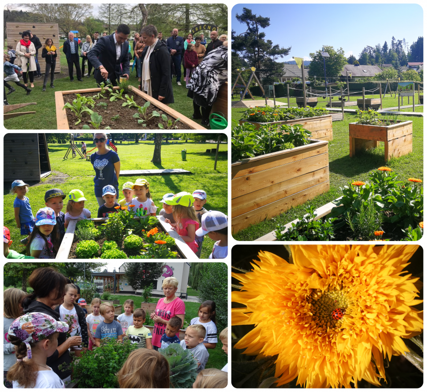 Skupnostni vrt pred Vilo Rožle