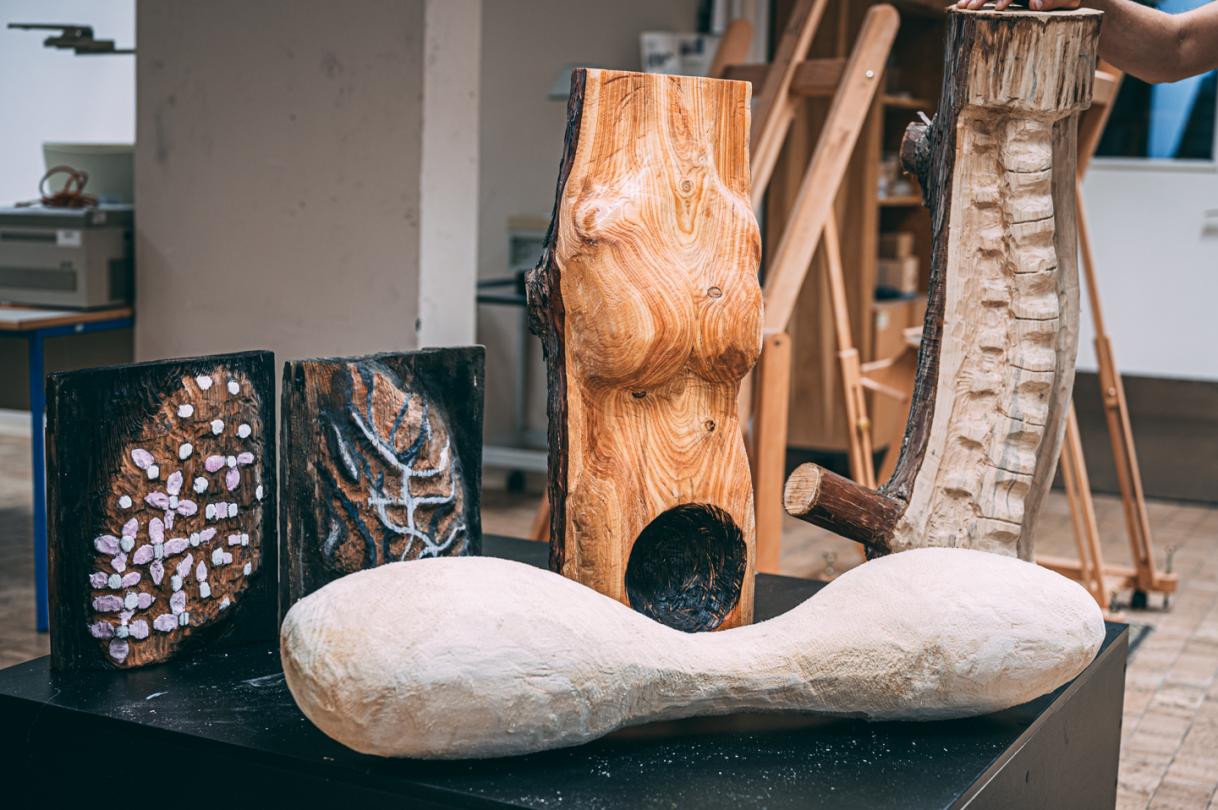 ŠCV - Gimnazija Velenje (Umetniška smer)