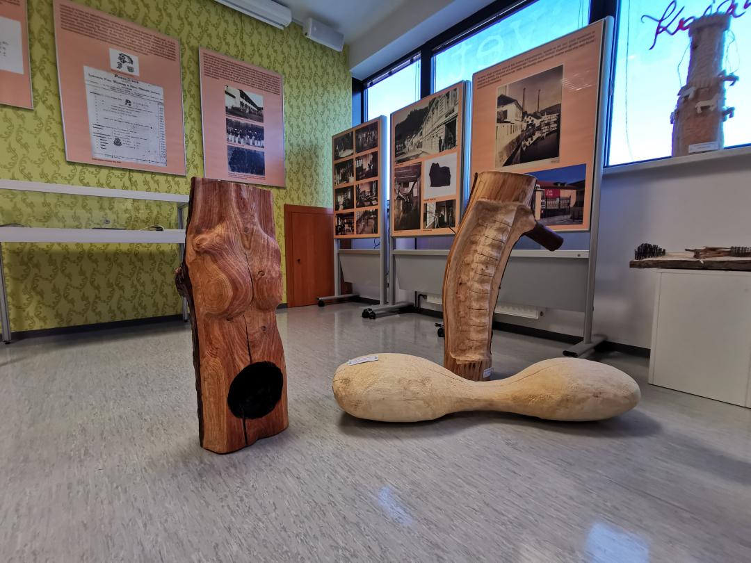 Razstava v Šoštanju