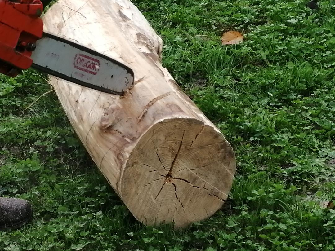 51. Mala Napotnikova kiparska kolonija - dela