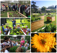 Skupnostni vrt pred Vilo Rožle